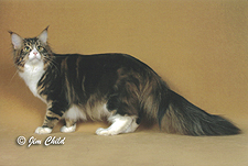 15_Catgo's Smarty Jones Anderson